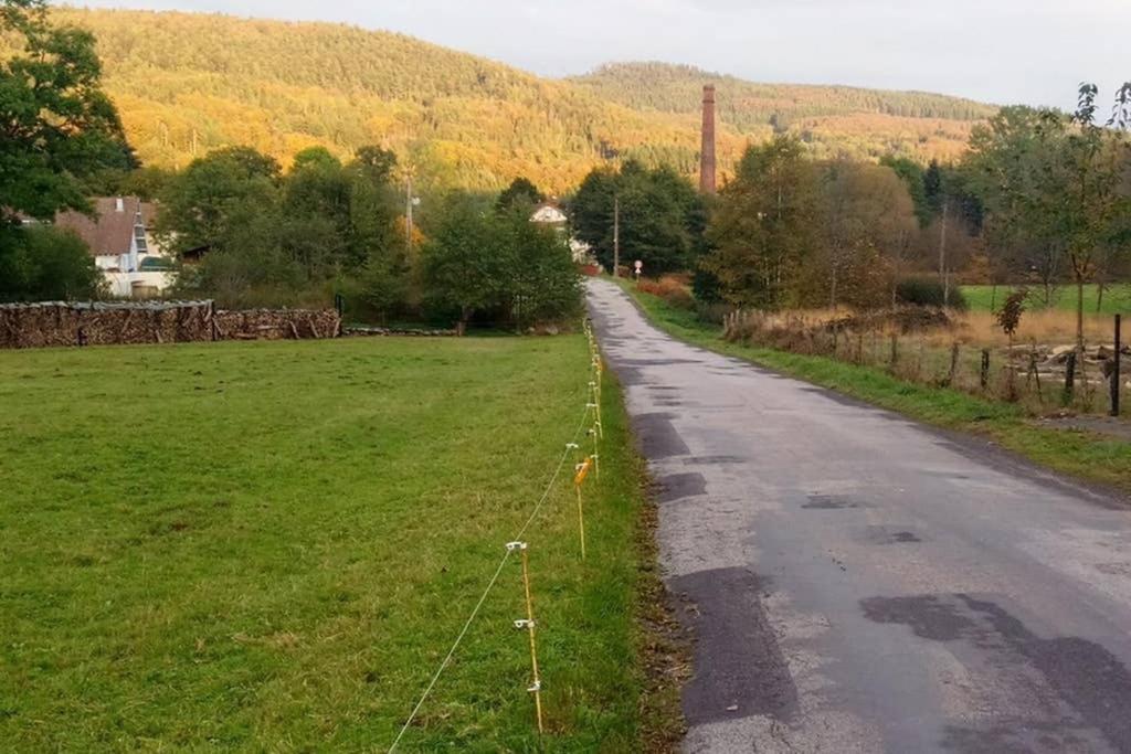 Maison Independ. 6 Personnes A 10 Mn De Gerardmer Granges-sur-Vologne Exteriör bild