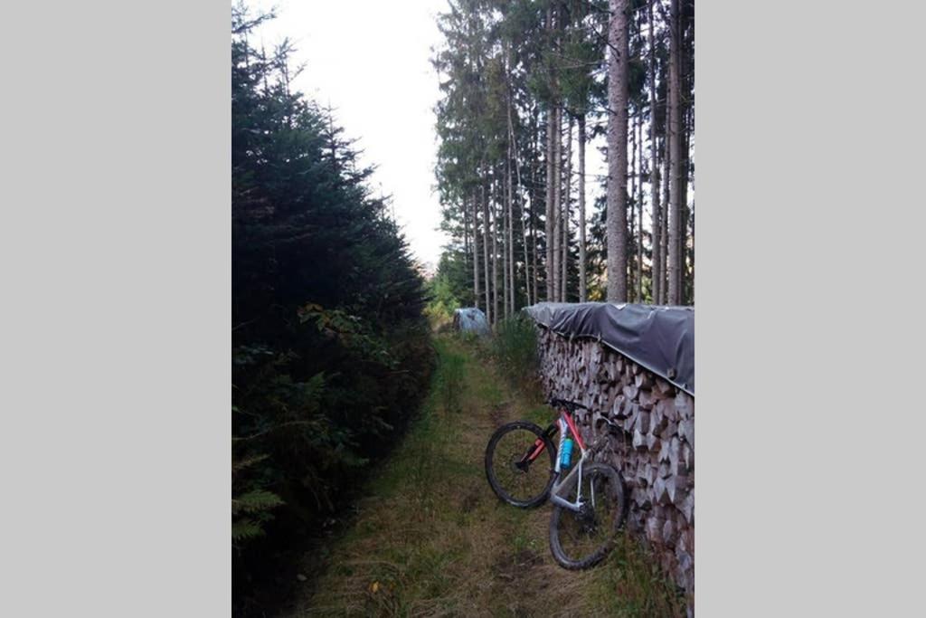 Maison Independ. 6 Personnes A 10 Mn De Gerardmer Granges-sur-Vologne Exteriör bild